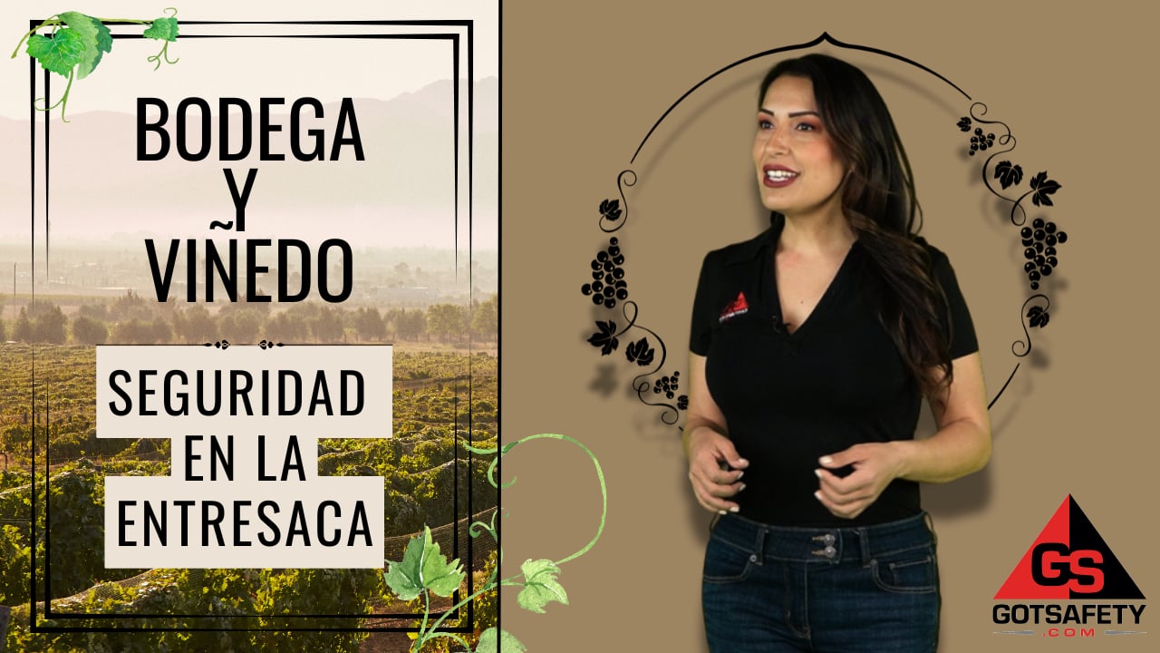 Winery and Vineyard: Thinning Safety - sp