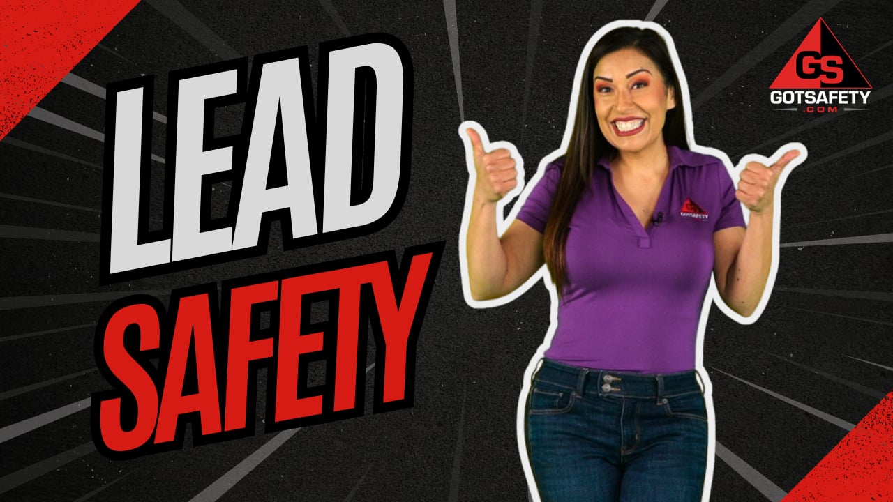 Lead Safety