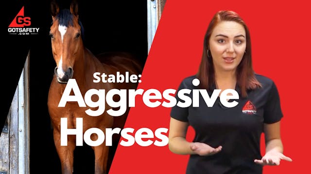 Stable: Aggressive Horses