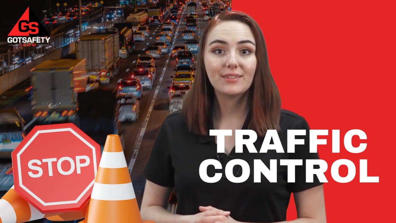 Traffic Control - GotSafety Lite | Safety Video Streaming