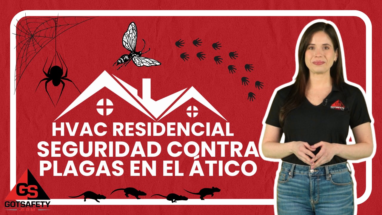 HVAC Residential: Attic Pest Safety - sp