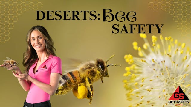 Deserts: Bee Safety