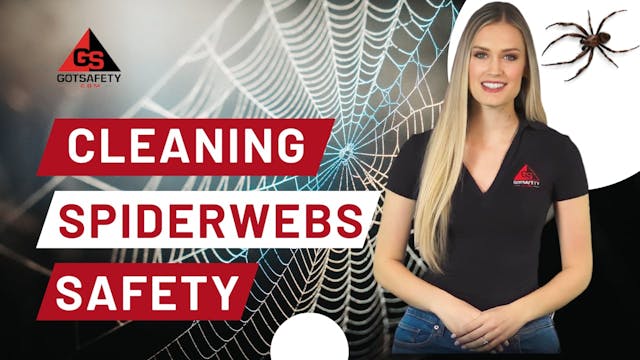 Cleaning Spiderwebs Safely