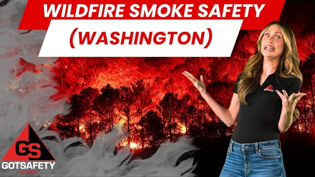 Wildfire Smoke Safety (Washington)