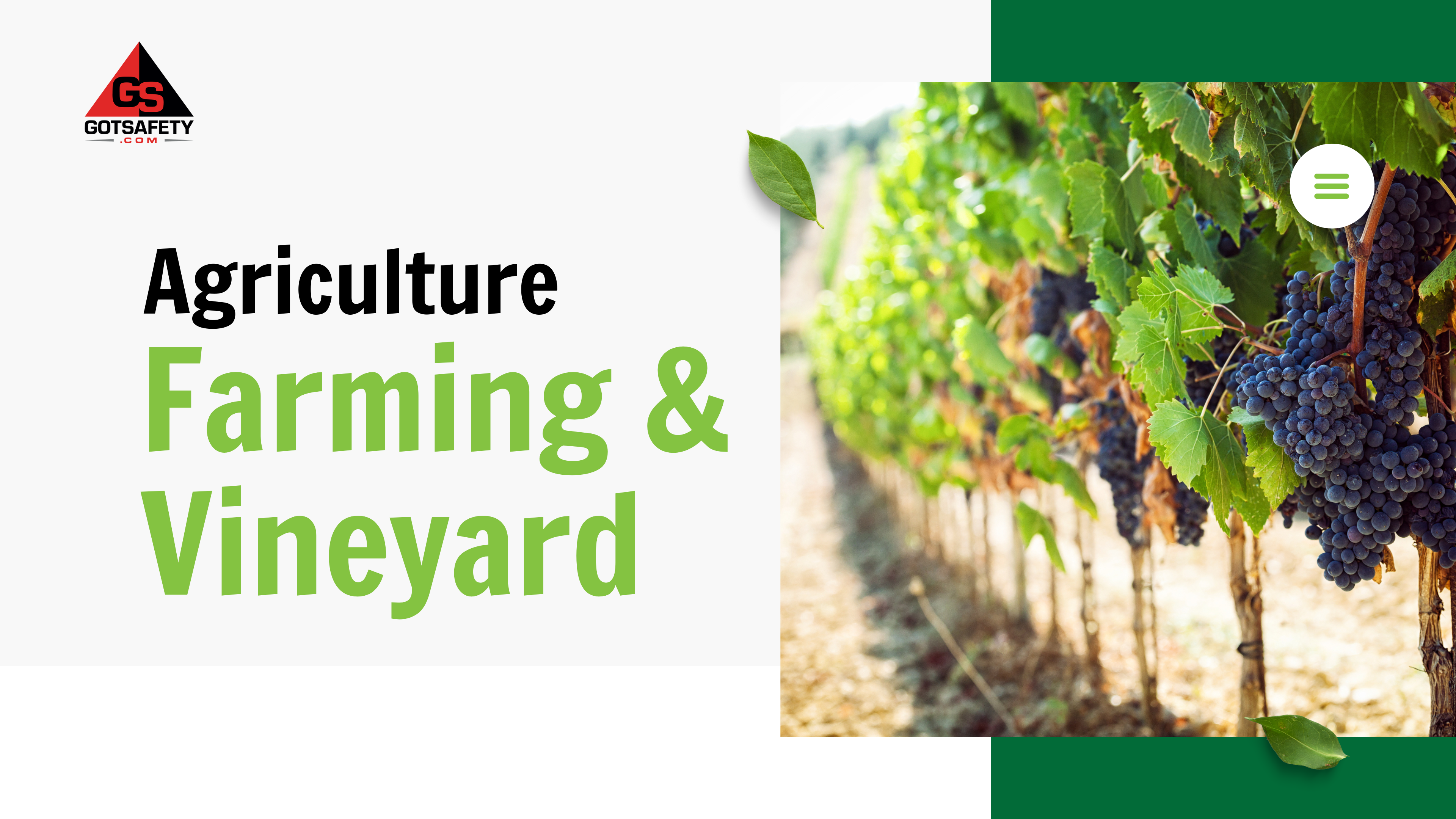 Ag - Farming/Vineyard