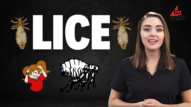 Lice