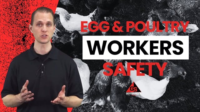 EGG and Poultry Worker Safety