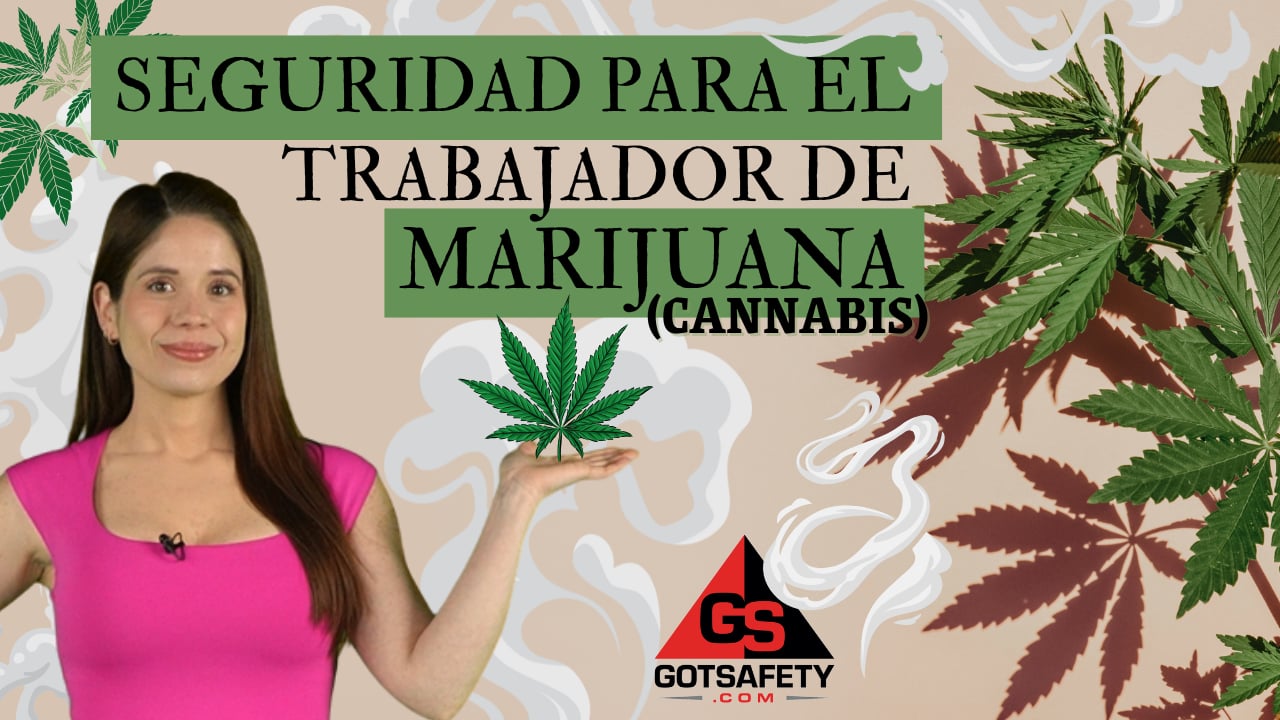 Cannabis Worker Safety - sp