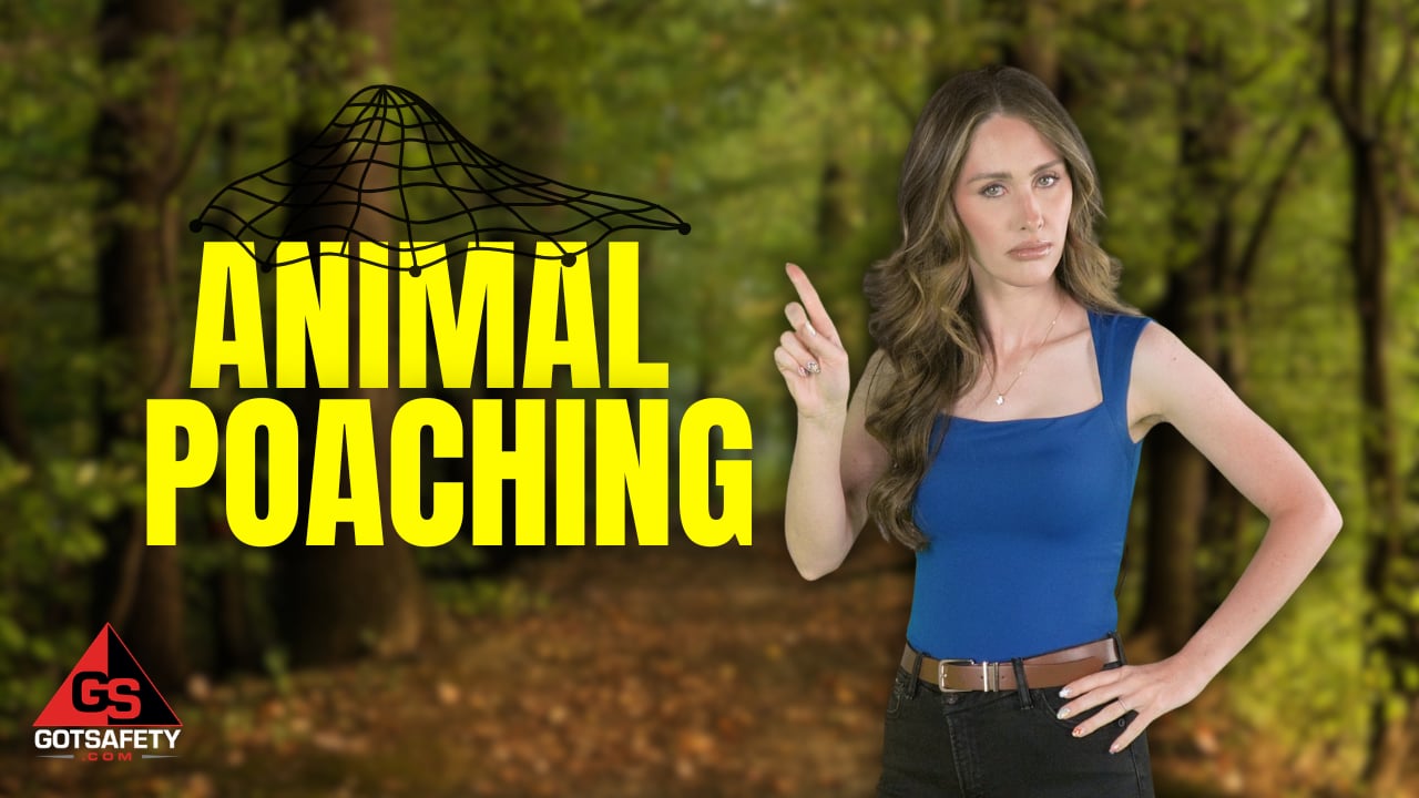 Animal Poaching