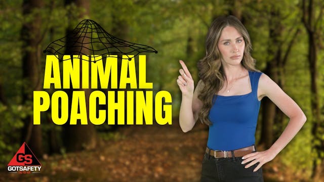 Animal Poaching