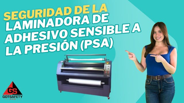 Pressure-Sensitive Adhesive (PSA) Lam...