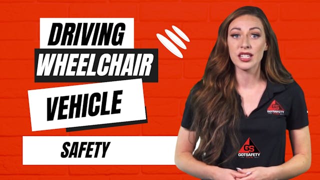 Driving: Wheelchair Vehicle Safety