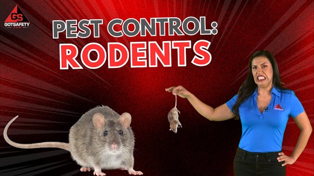 Pest Control: Rodents