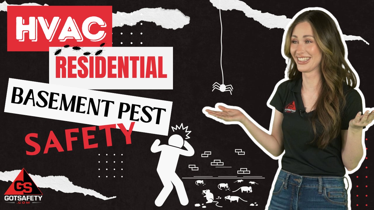 HVAC Residential: Basement Pest Safety