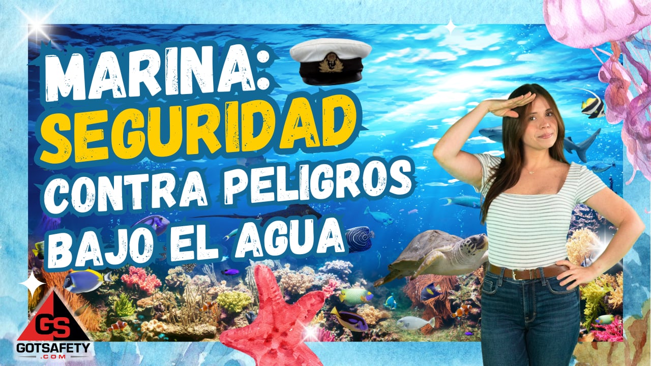 Marina - Underwater Hazard Safety (Boat Captains) - sp