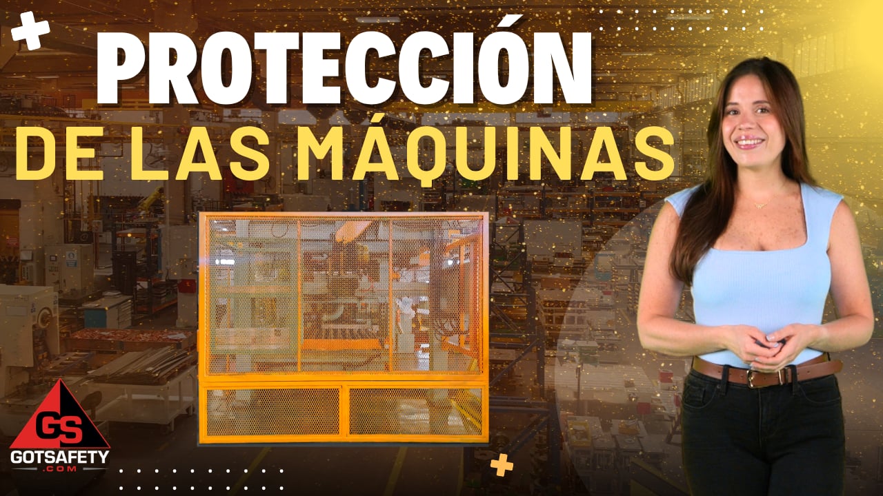 Guarding Machines - SP