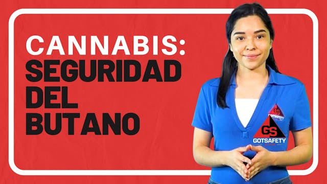 Cannabis: Butane Safety - SP