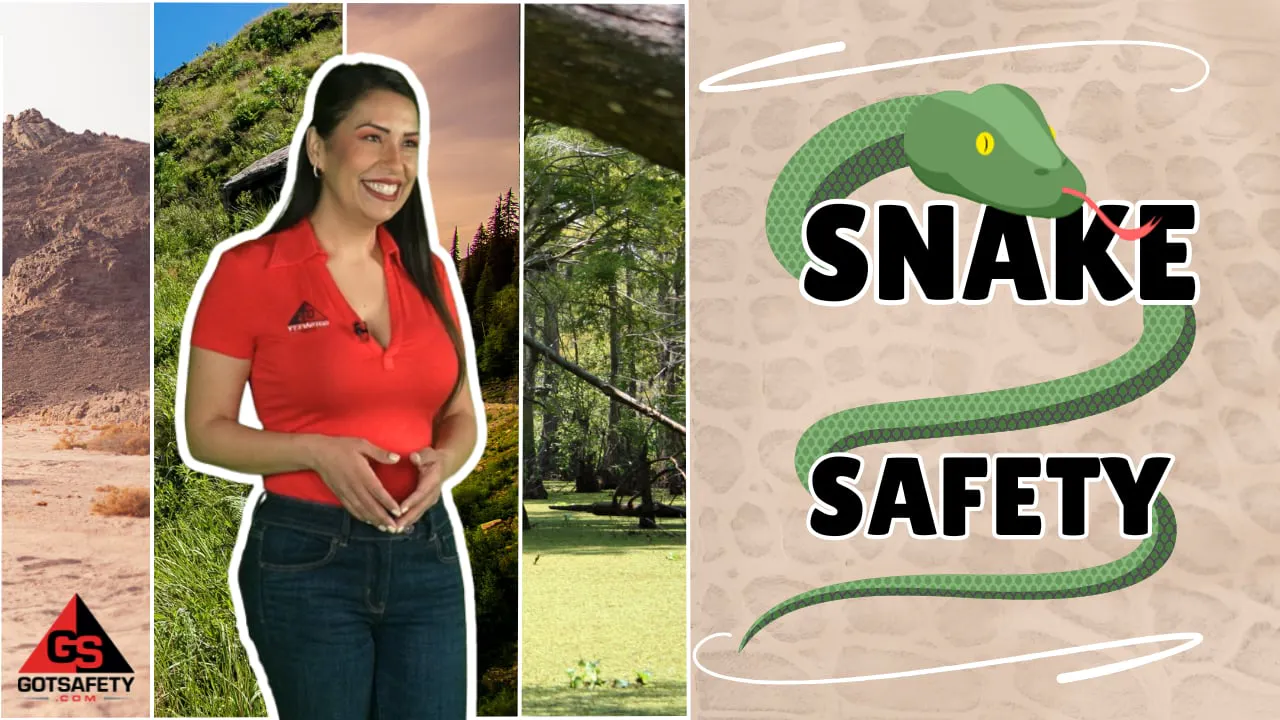 Snake Safety - GotSafety Lite | Safety Video Streaming