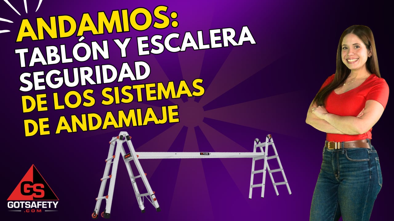 Scaffolds: Plank and Ladder Scaffold System Safety - sp