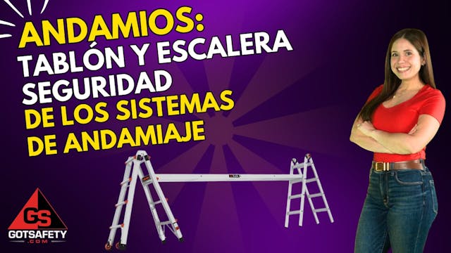Scaffolds: Plank and Ladder Scaffold ...