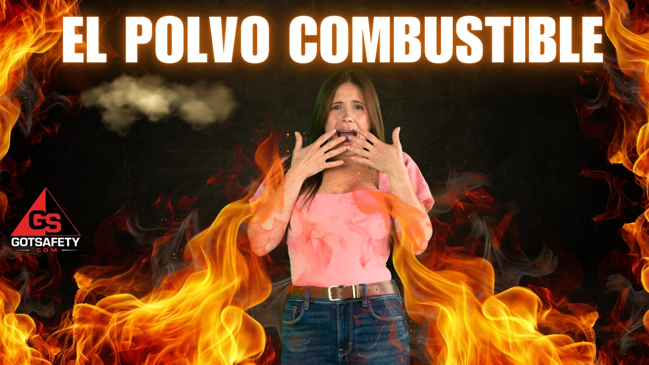Combustible Dust - sp