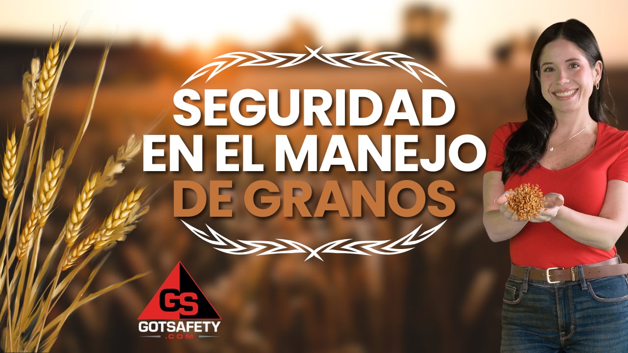Grain Handling Safety - SP