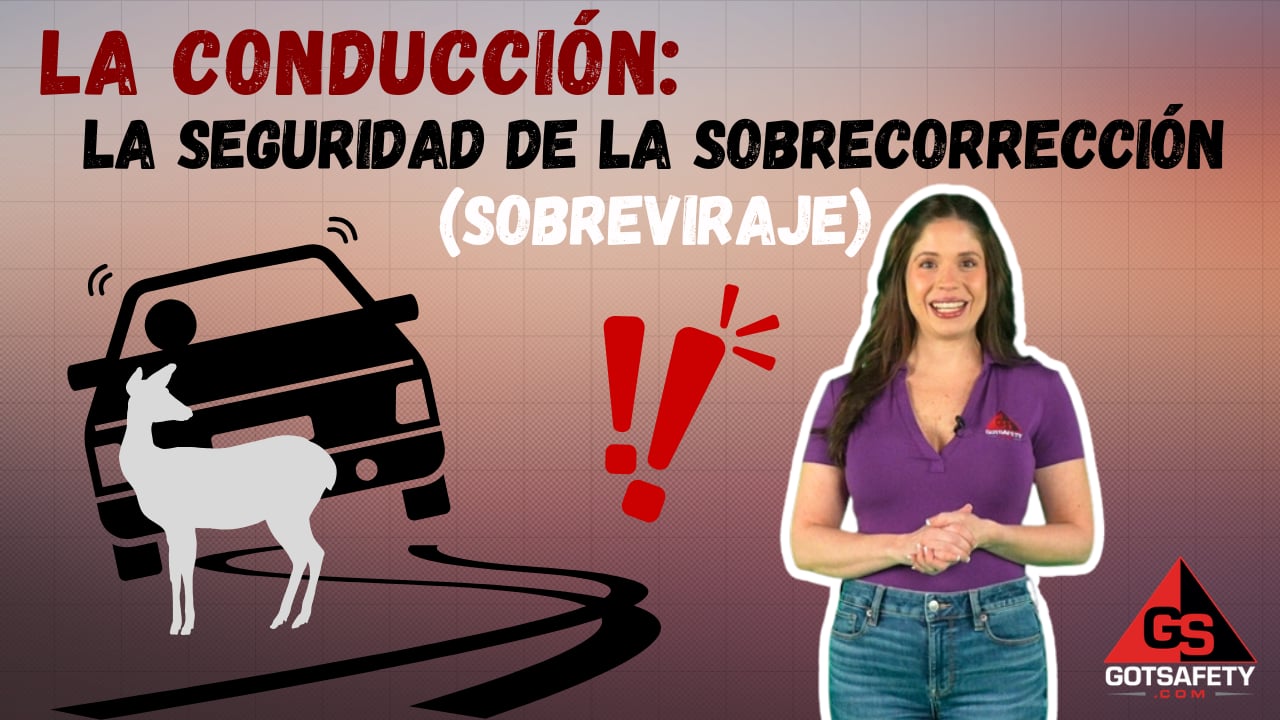 Driving: Overcorrection Safety - sp