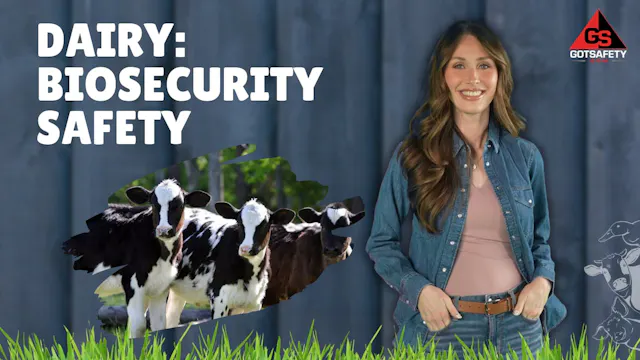 Dairy: Biosecurity Safety