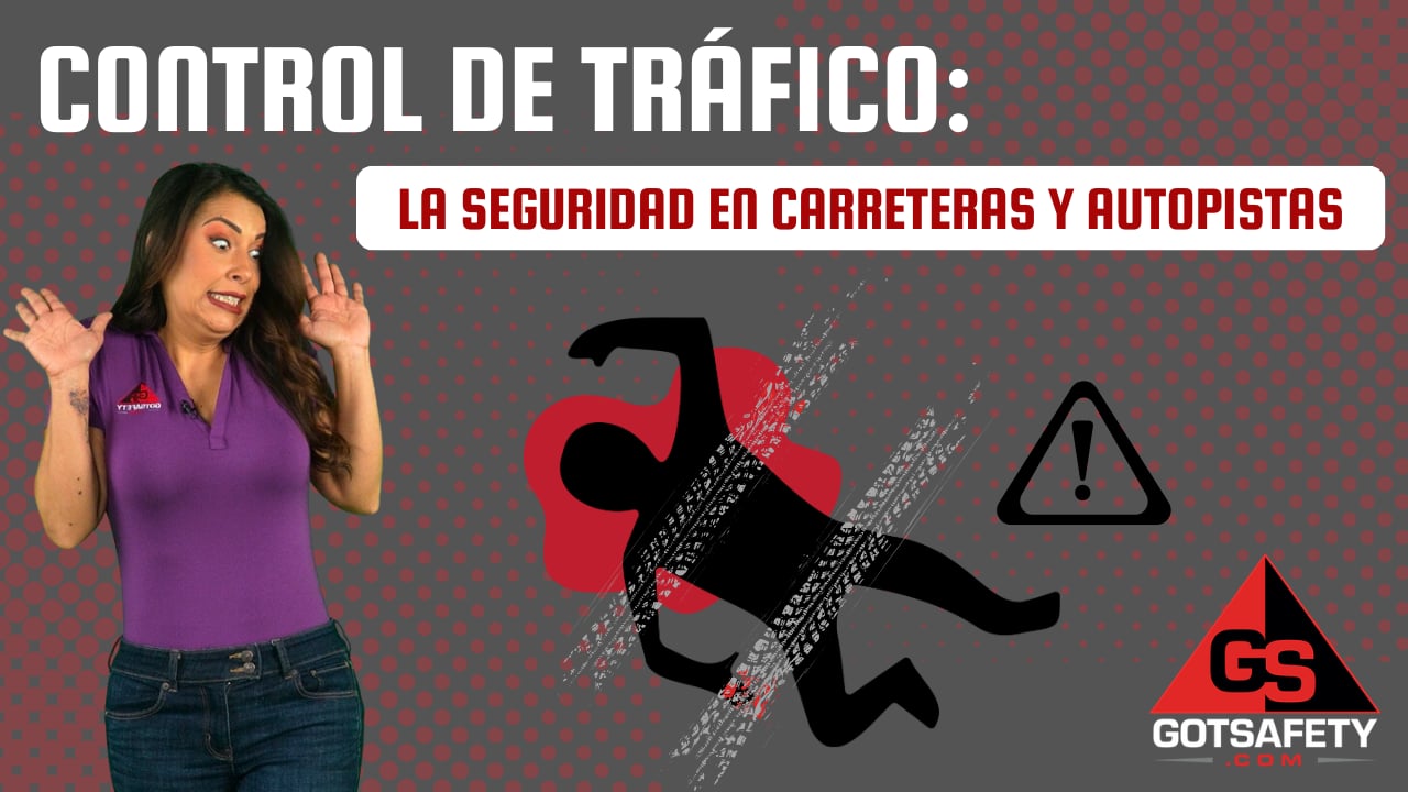 Traffic Control: Freeway and Highway Safety - sp