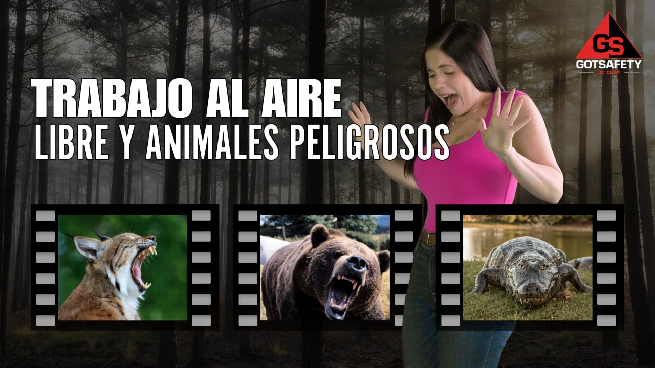 Outdoor Work and Harmful Animals - sp