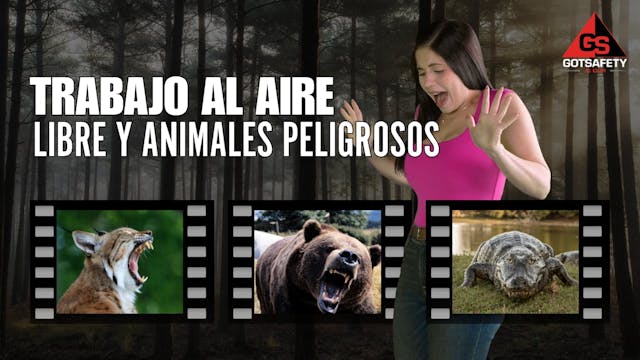 Outdoor Work and Harmful Animals - sp