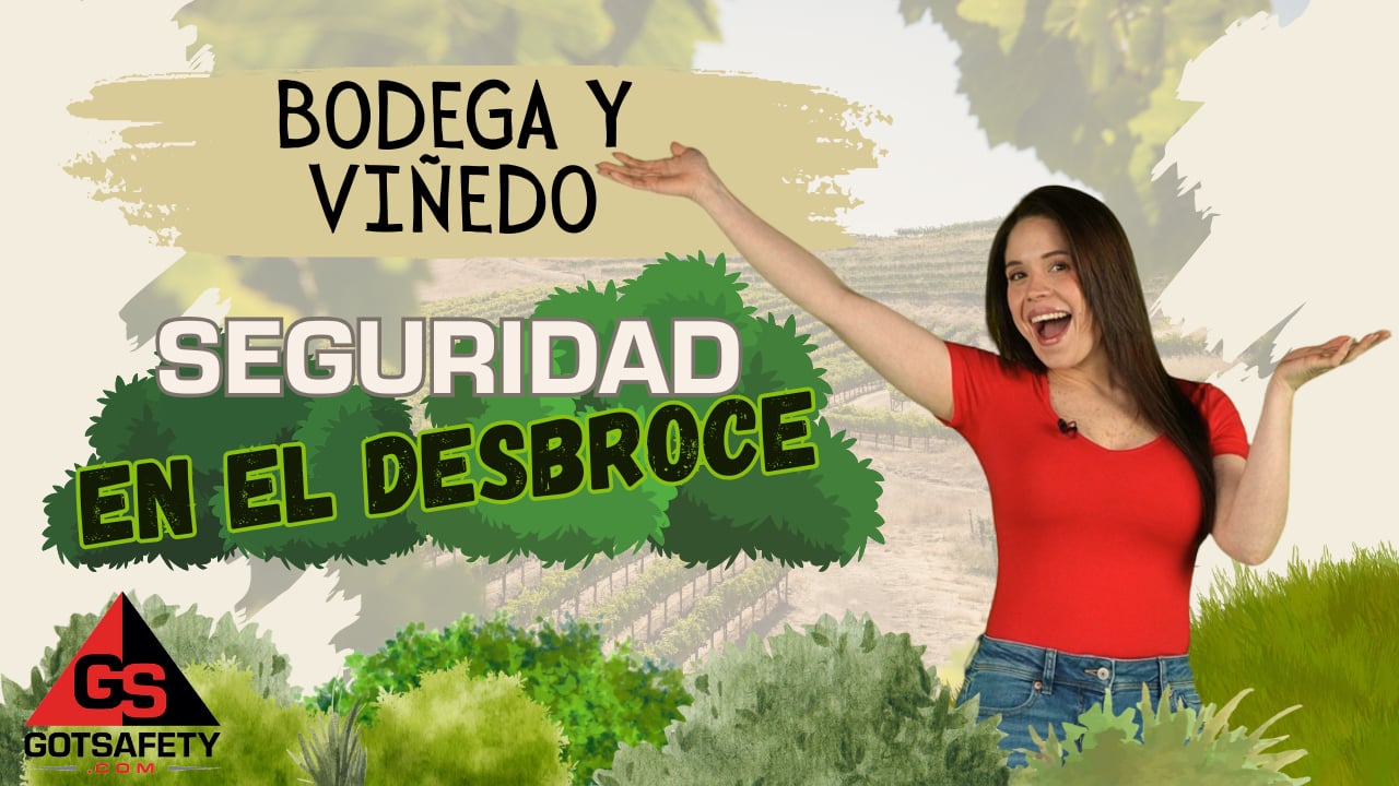 Winery and Vineyard: Brush Removal Safety - sp