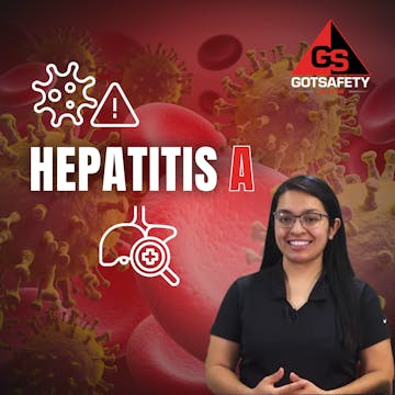 Hepatitis A - SP