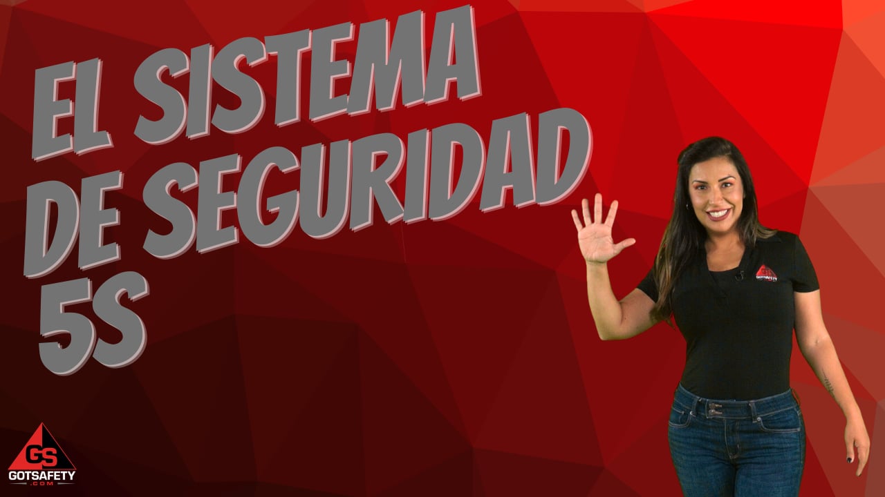 The 5s Safety System - sp