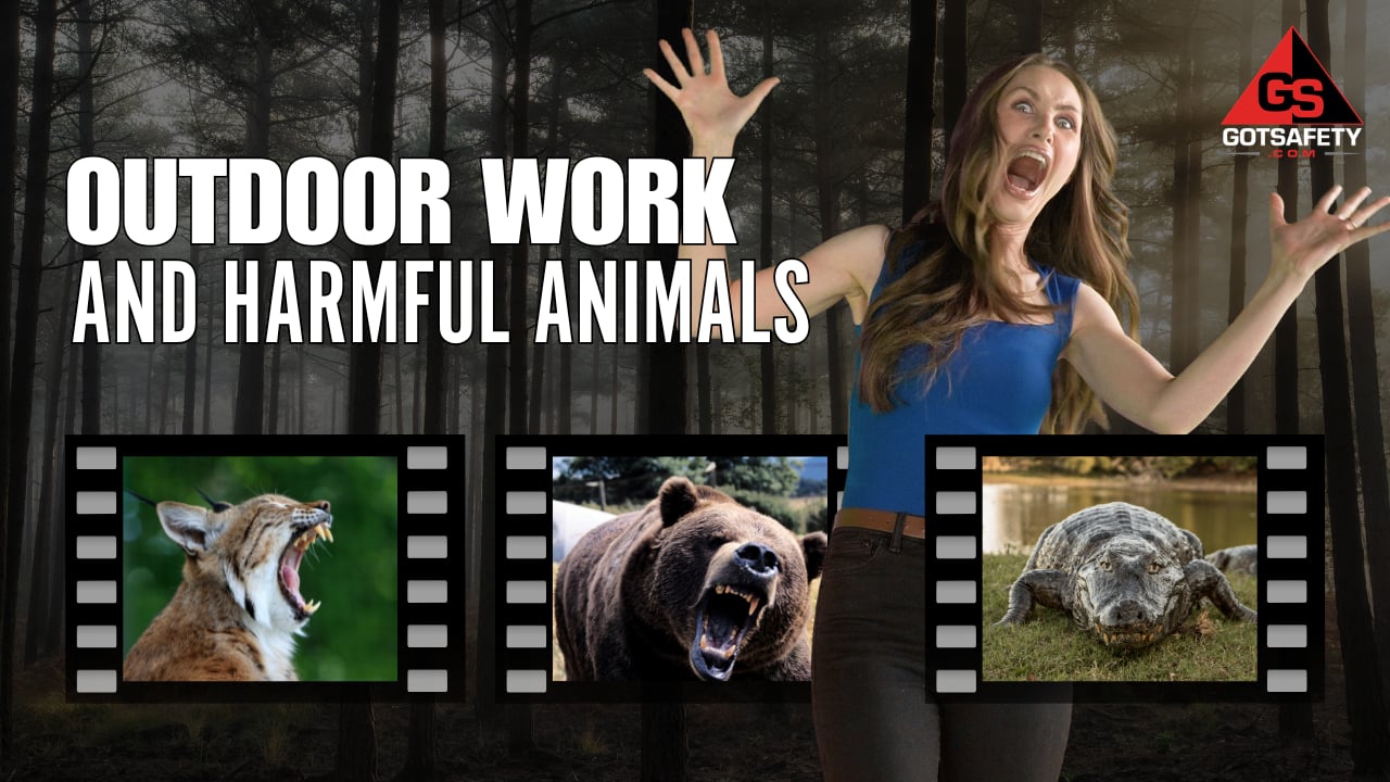Outdoor Work and Harmful Animals