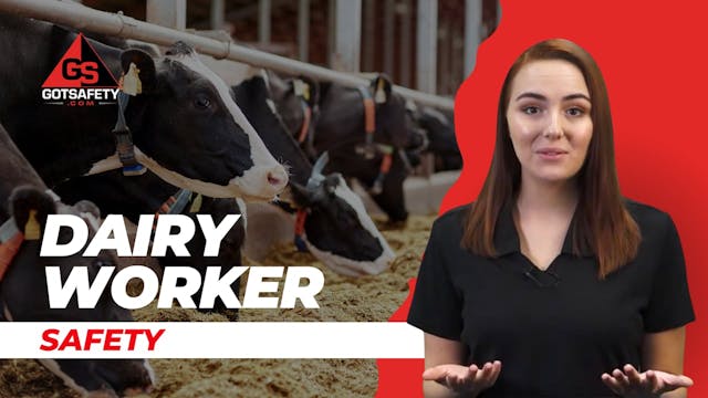 Dairy Worker Safety