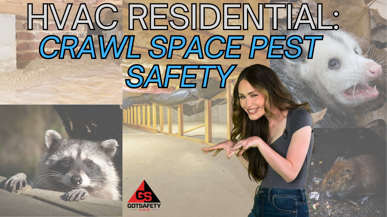 HVAC Residential: Crawl Space Pest Safety