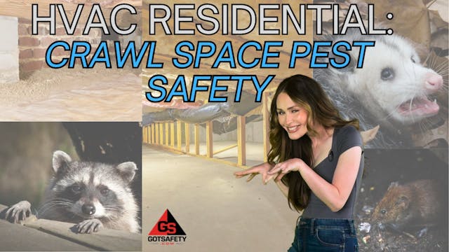 HVAC Residential: Crawl Space Pest Sa...