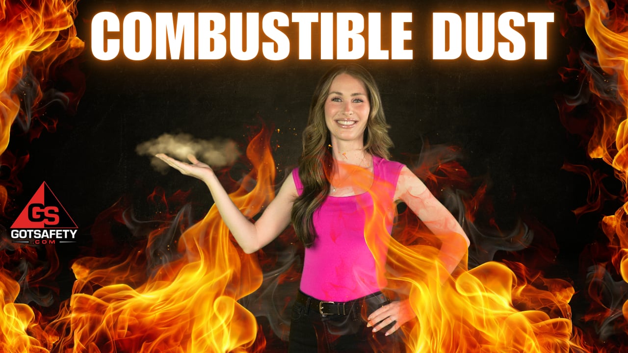 Combustible Dust
