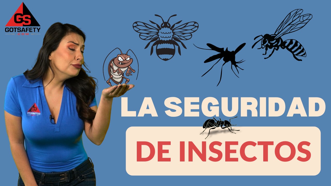 Insect Safety - sp
