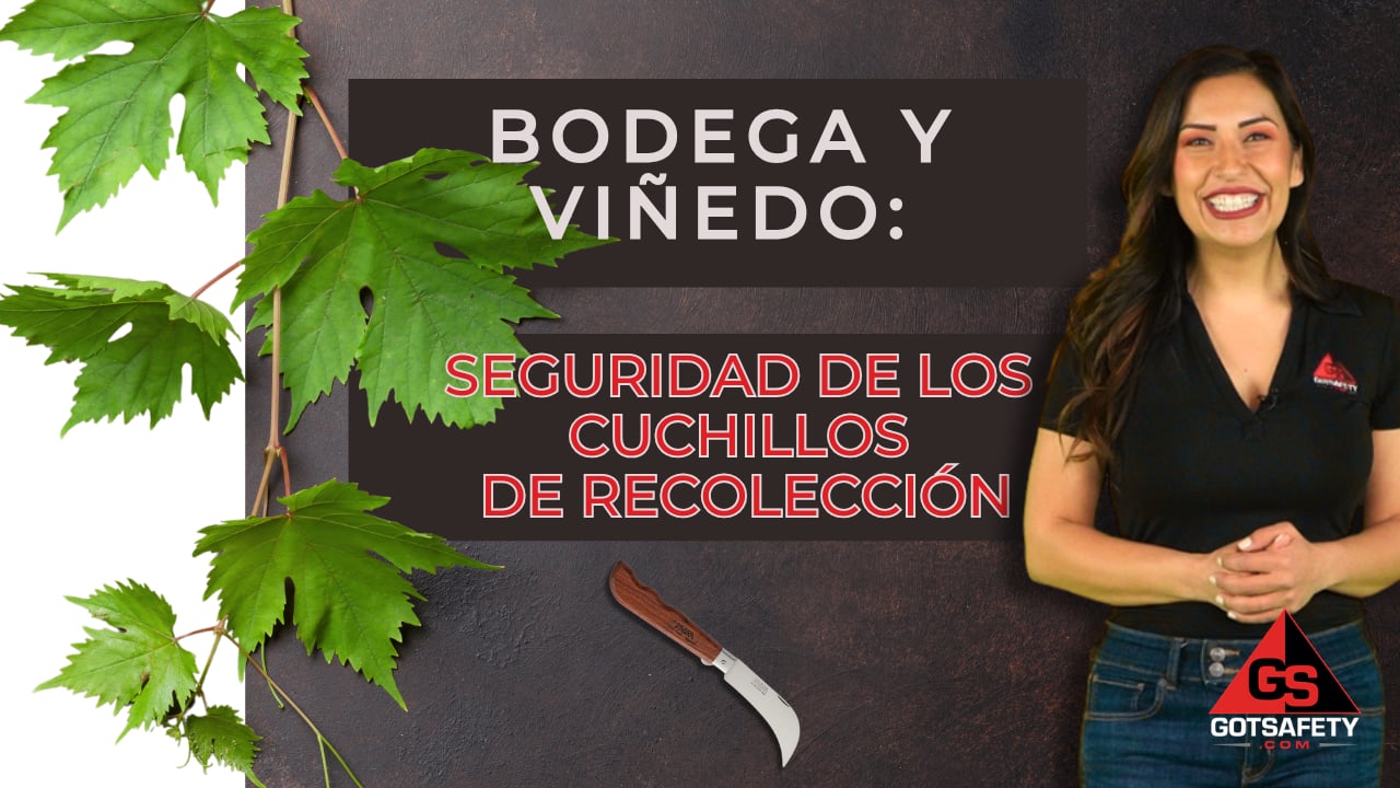 Winery and Vineyard: Picking Knife Safety - sp