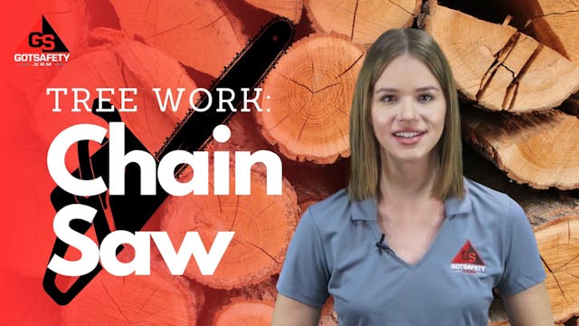 Tree Work: Chainsaw Safety