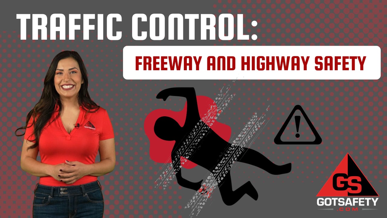 Traffic Control: Freeway and Highway Safety