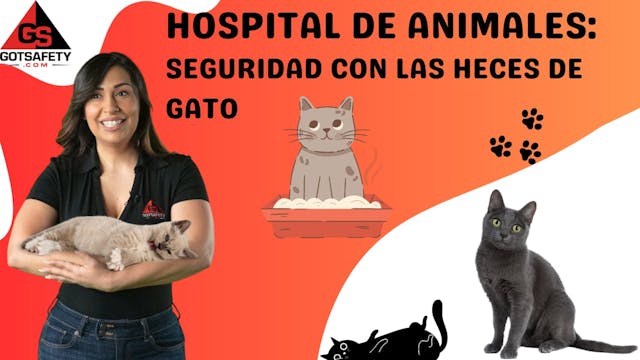 Animal Hospital: Cat Feces Safety - sp