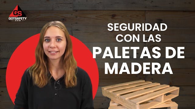 Wood Pallet Safety - SP