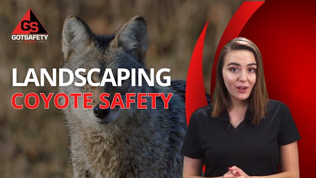 Landscaping: Coyote Safety