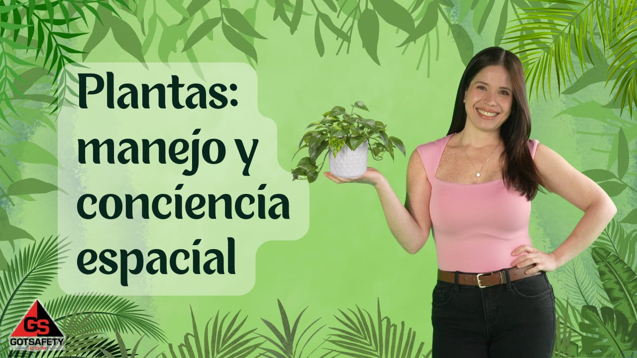 Plants: Handling and Spatial Awareness - sp