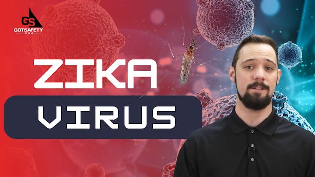 Zika Virus