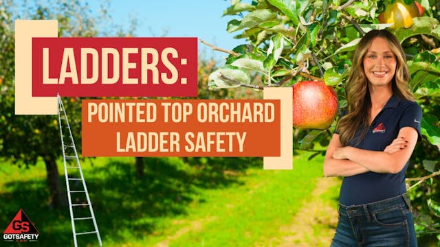 Ladders: Pointed Top Orchard Ladder S...