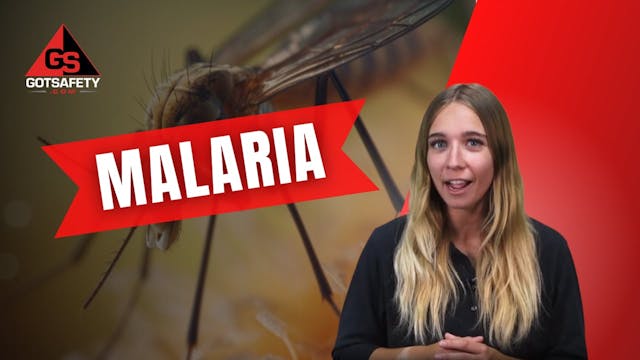 Malaria - SP